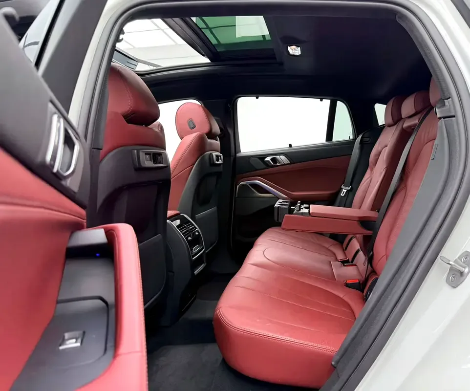BMW X6 xDrive40i Steptronic (340 حصان) - 17