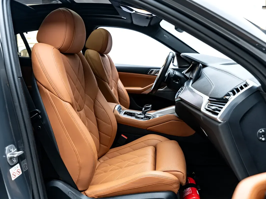 BMW X6 xDrive40i Steptronic (340 حصان) - 14