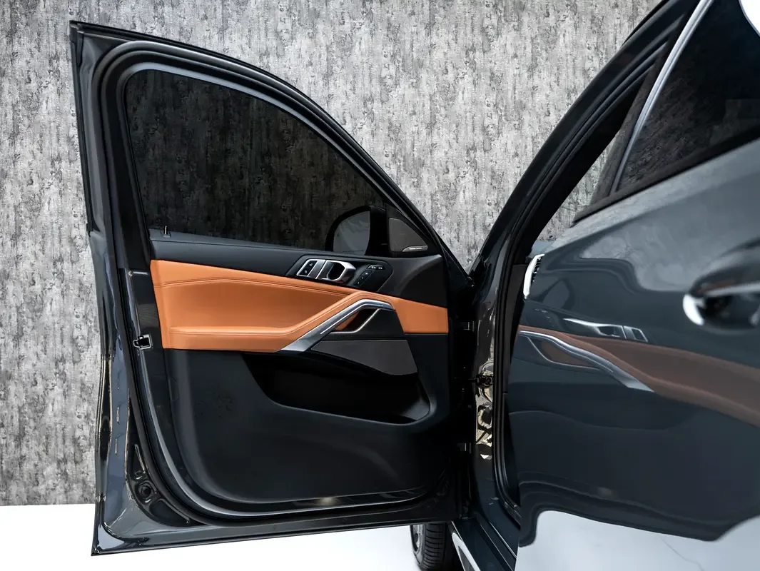 BMW X6 xDrive40i Steptronic (340 حصان) - 19