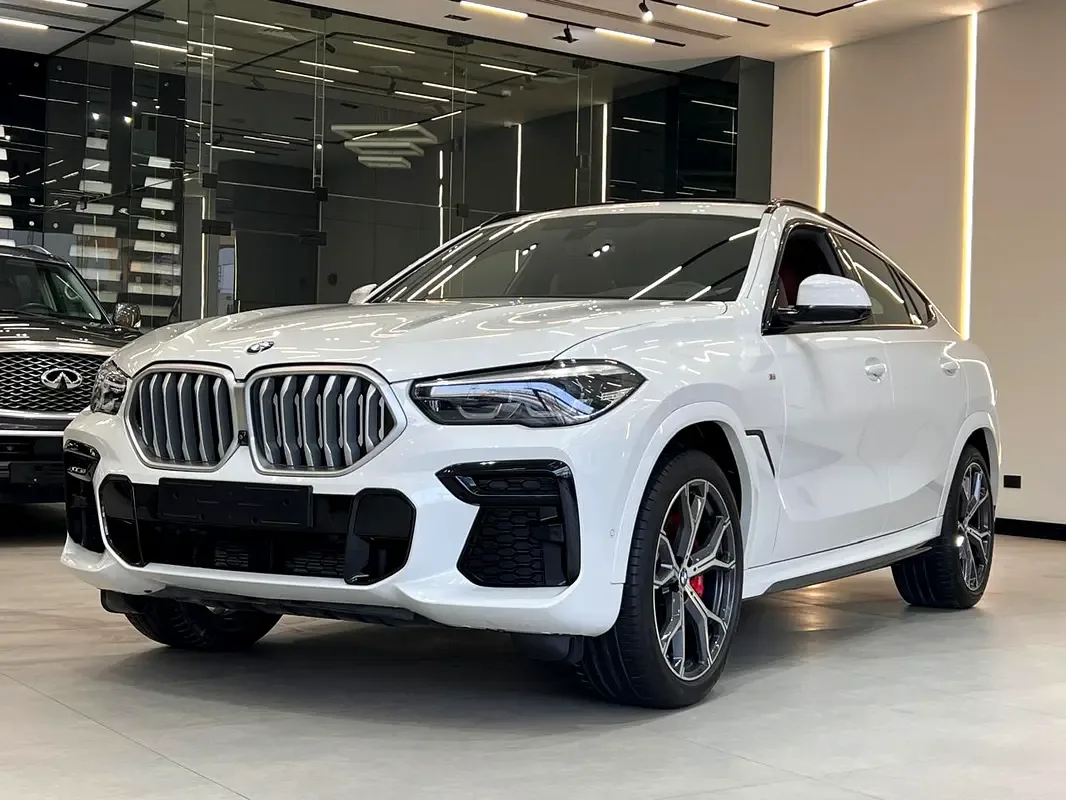 BMW X6 xDrive40i Steptronic (340 حصان) - 2