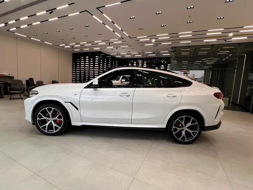 BMW X6 xDrive40i Steptronic (340 حصان) - 6