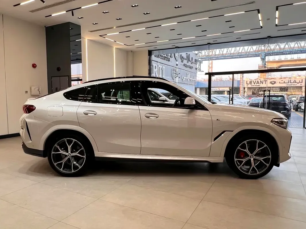 BMW X6 xDrive40i Steptronic (340 حصان) - 5