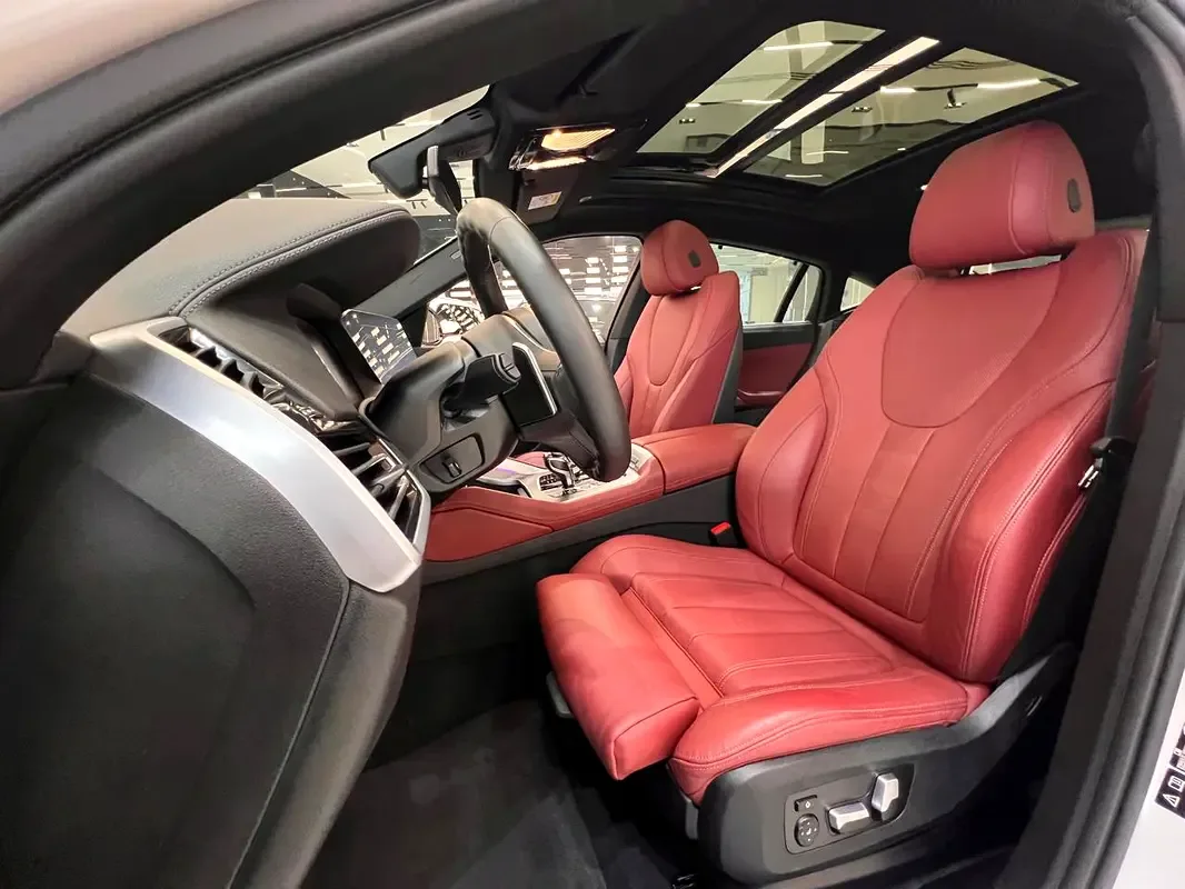 BMW X6 xDrive40i Steptronic (340 حصان) - 9