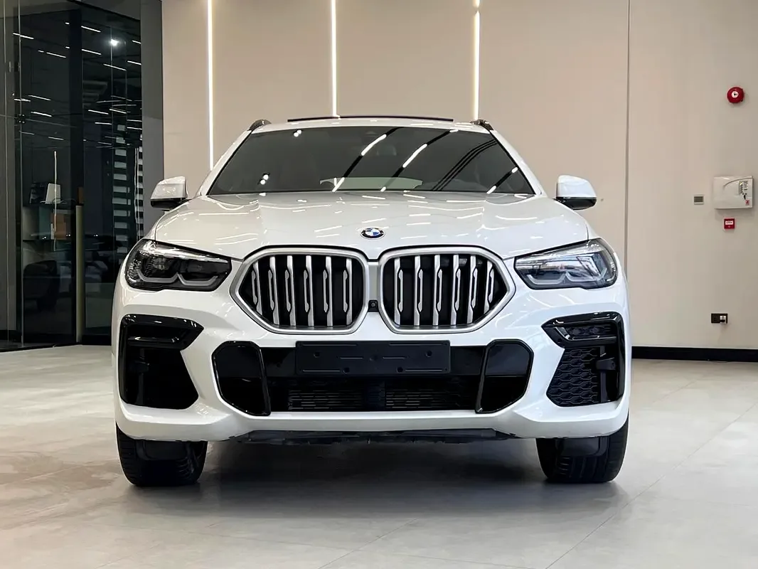 BMW X6 xDrive40i Steptronic (340 حصان) - 7