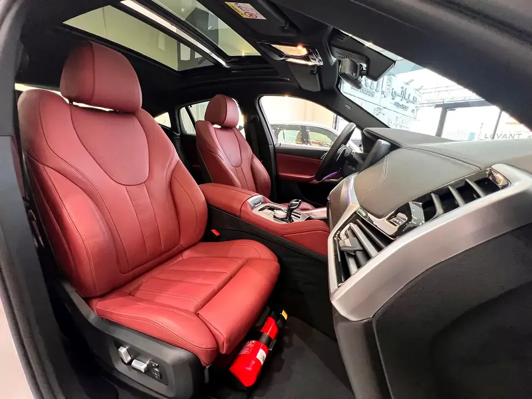 BMW X6 xDrive40i Steptronic (340 حصان) - 10