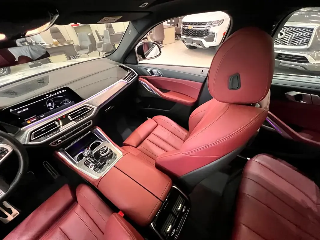 BMW X6 xDrive40i Steptronic (340 حصان) - 13