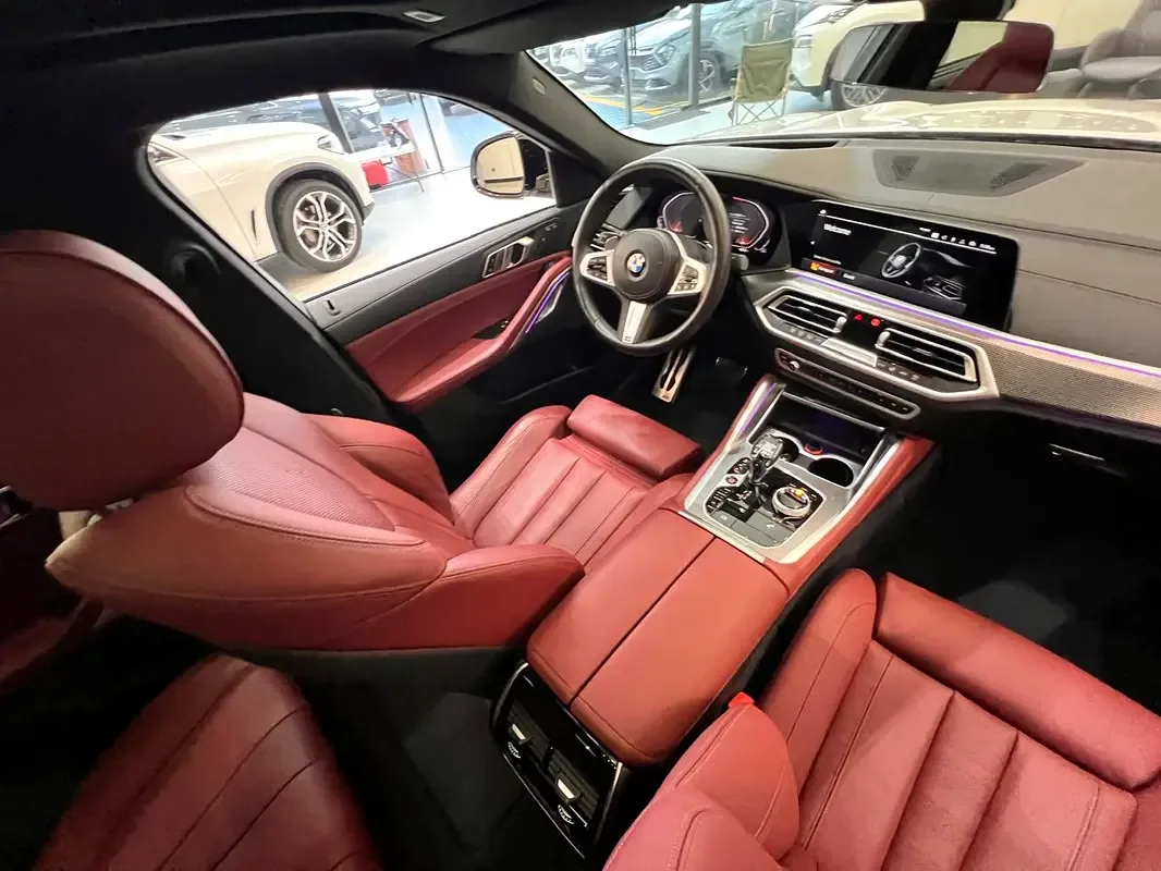 BMW X6 xDrive40i Steptronic (340 حصان) - 14