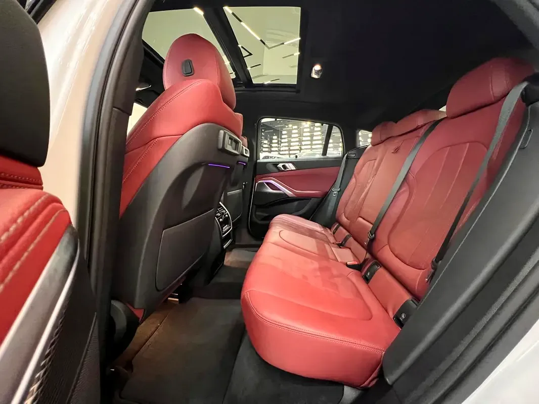BMW X6 xDrive40i Steptronic (340 حصان) - 15