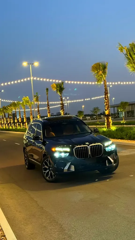 BMW X7 3.0 AT 4WD (380 hp)