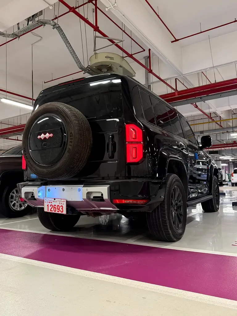 BYD FangChengBao Leopard 5 1.5 CVT AWD (687 hp) - 4