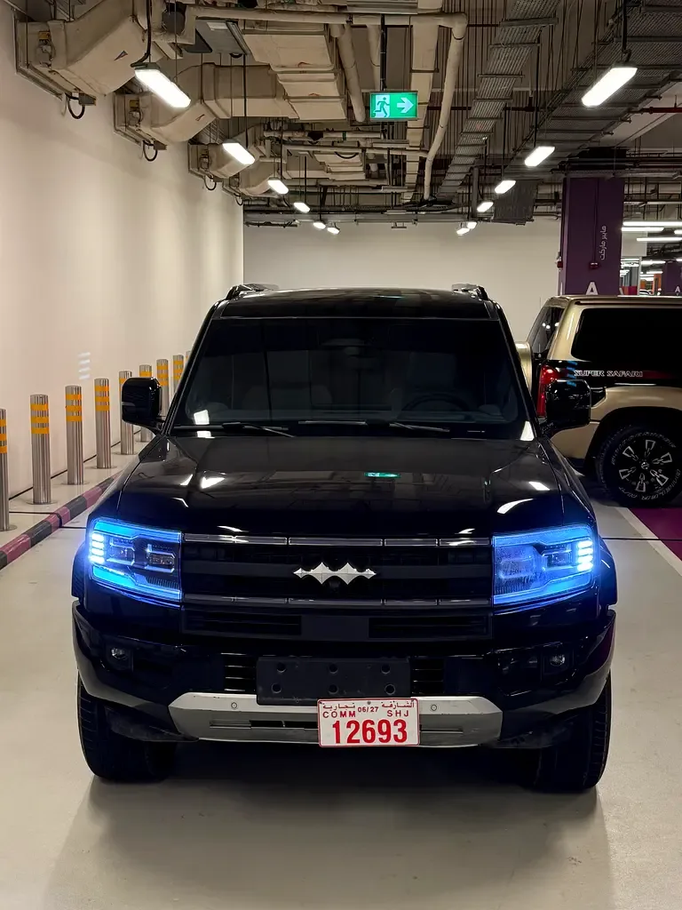 BYD FangChengBao Leopard 5 1.5 CVT AWD (687 hp) - 6