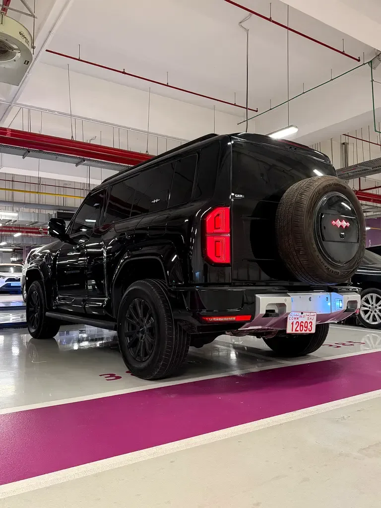 BYD FangChengBao Leopard 5 1.5 CVT AWD (687 hp) - 5