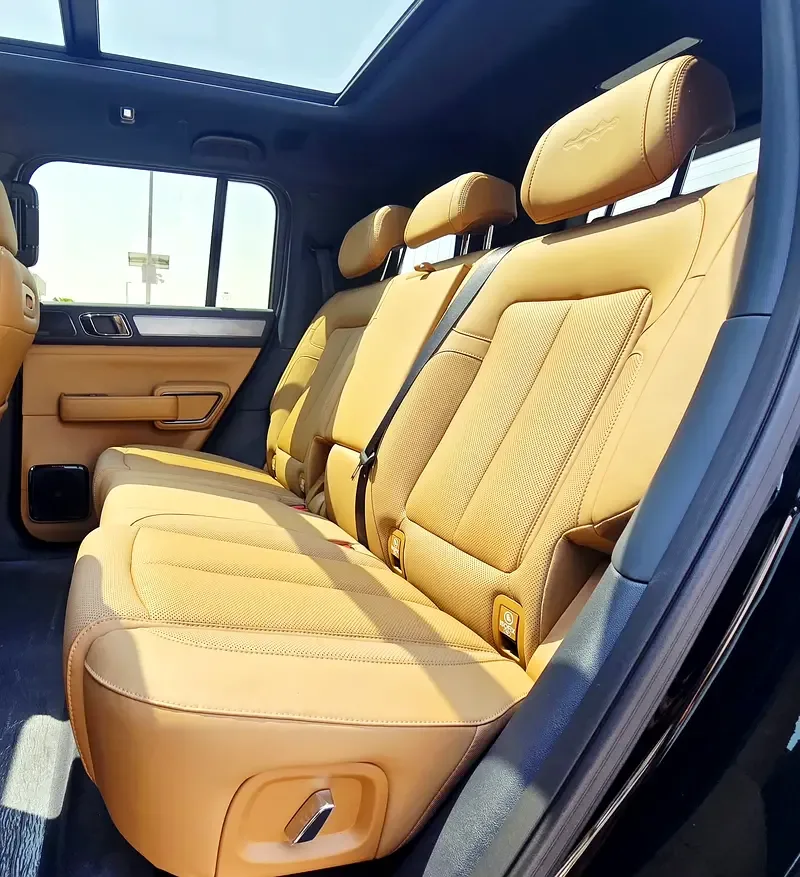BYD FangChengBao Leopard 5 1.5 CVT AWD (687 hp) - 13