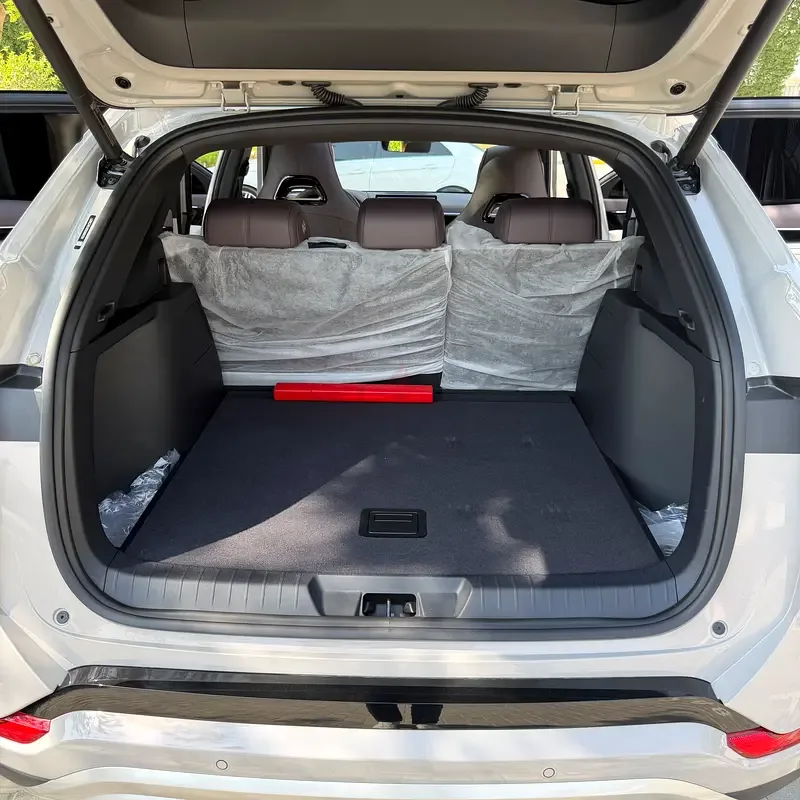 BYD Song Plus 1.5 AT (307 hp) - 11