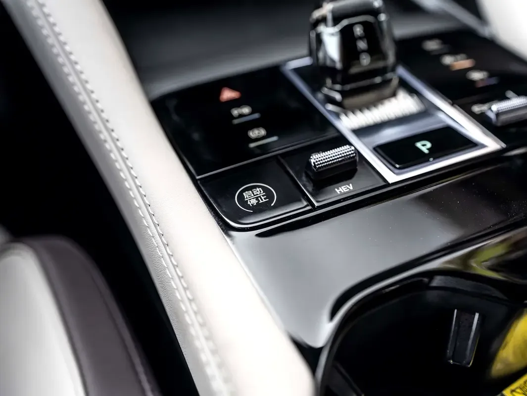 BYD Song Plus 1.5 CVT (318 حصان) - 16