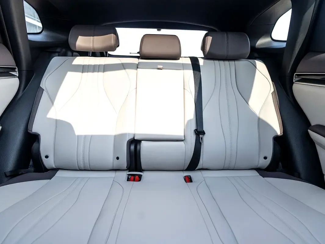 BYD Song Plus 1.5 CVT (318 حصان) - 20