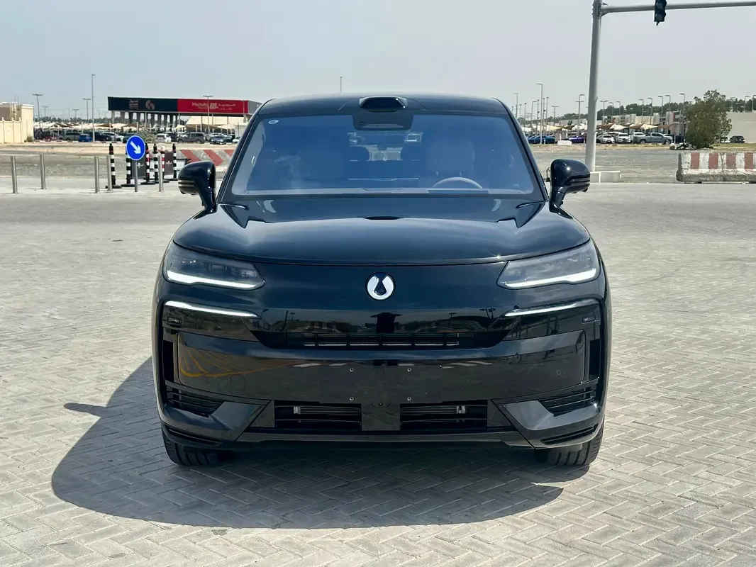 Denza N9 2.0 CVT 4WD (925 hp) - 3