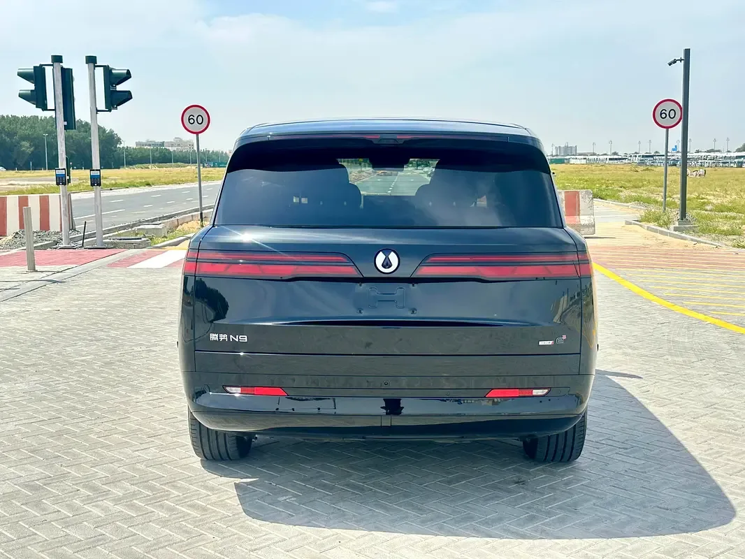 Denza N9 2.0 CVT 4WD (925 hp) - 5