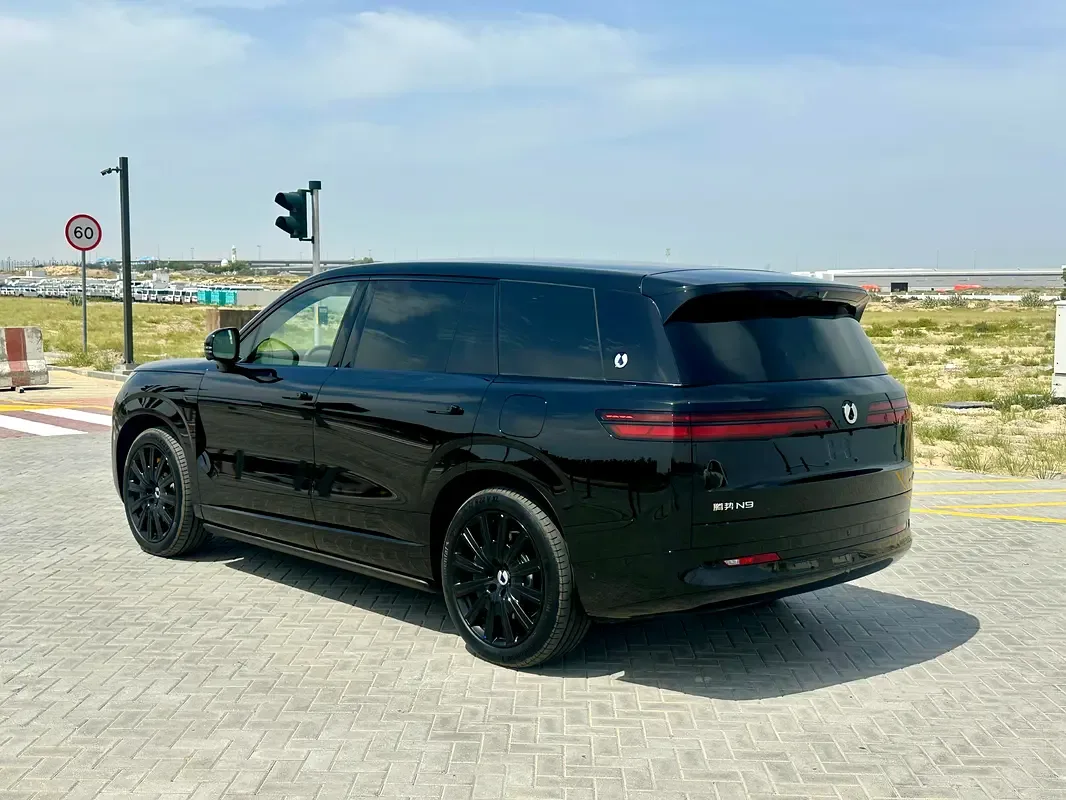 Denza N9 2.0 CVT 4WD (925 hp) - 6