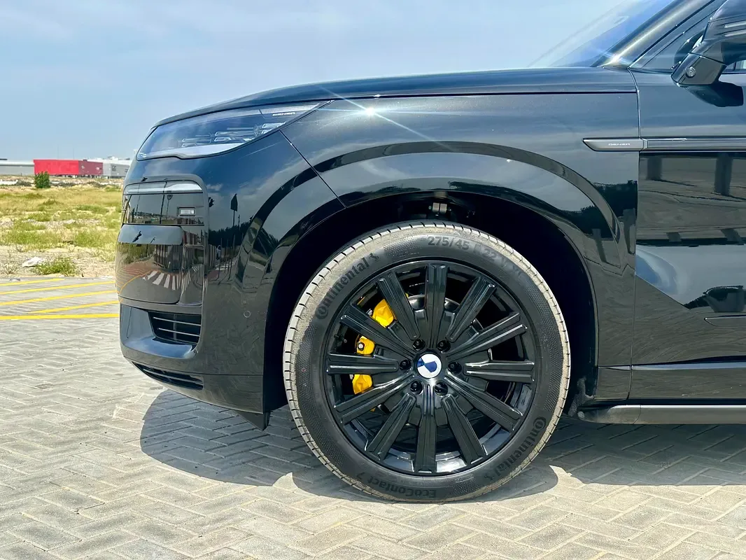Denza N9 2.0 CVT 4WD (925 hp) - 4
