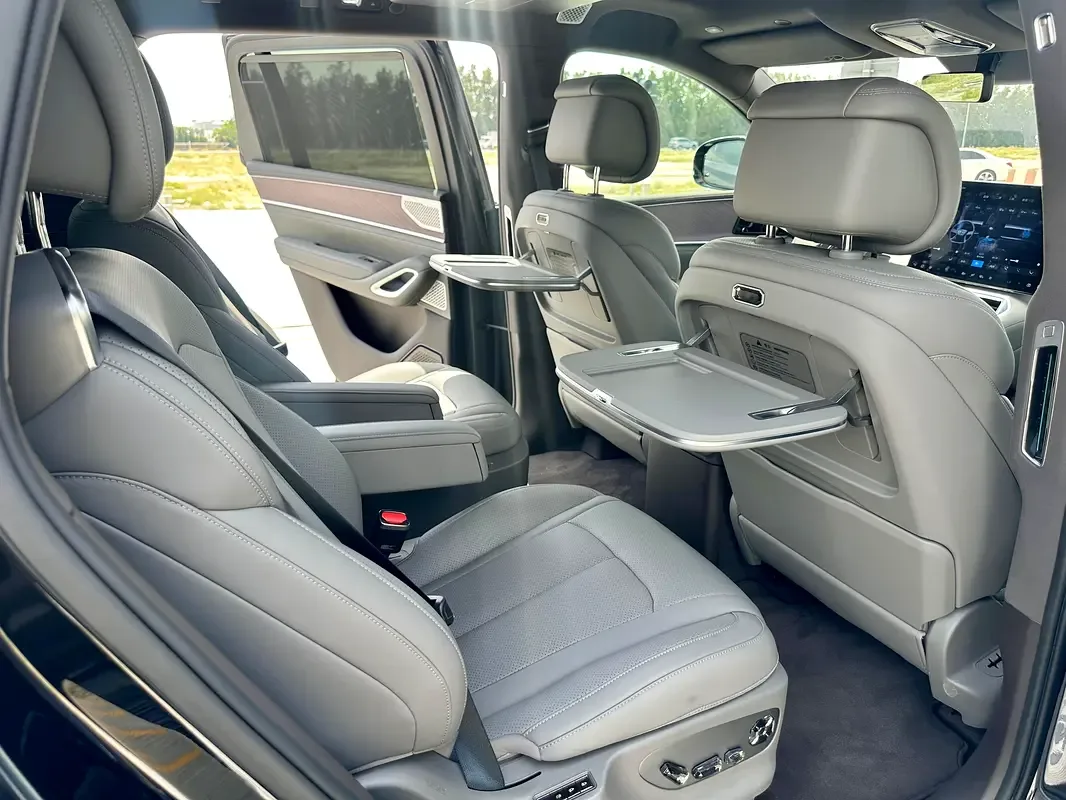 Denza N9 2.0 CVT 4WD (925 hp) - 14