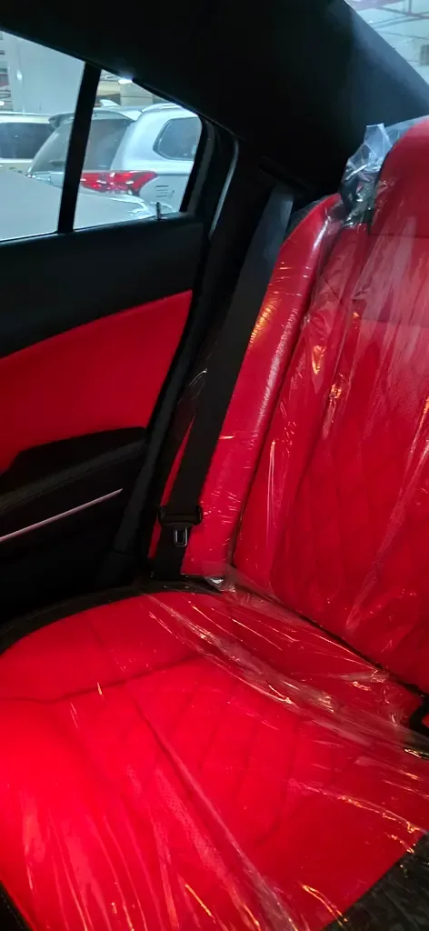 Dodge Charger 3.6 AT (296 hp) - 8