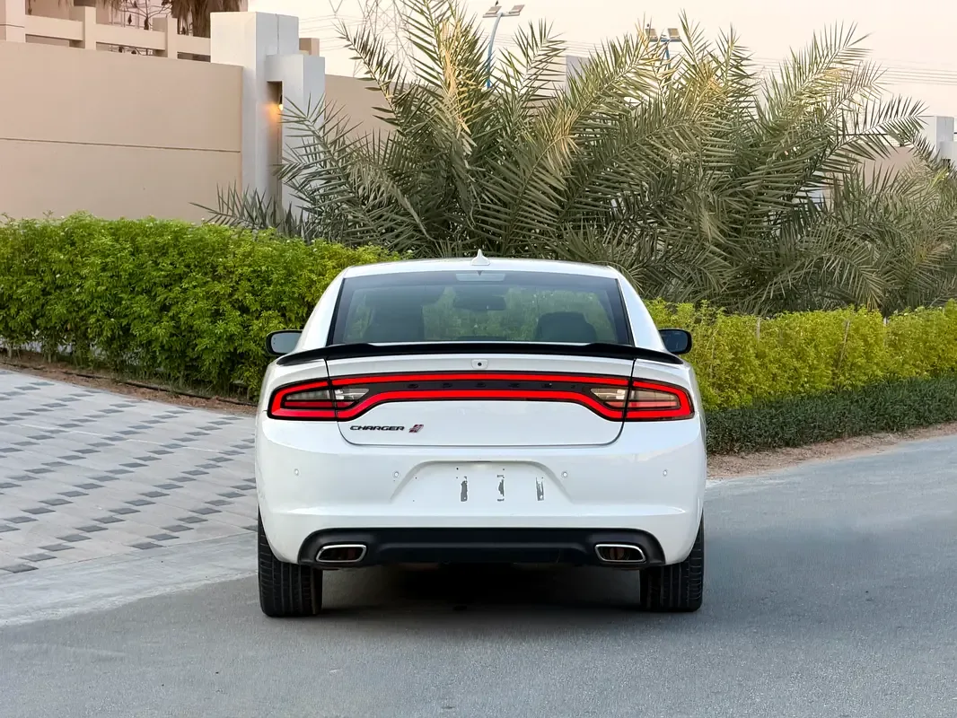 Dodge Charger 3.6 AT AWD (305 hp) - 14
