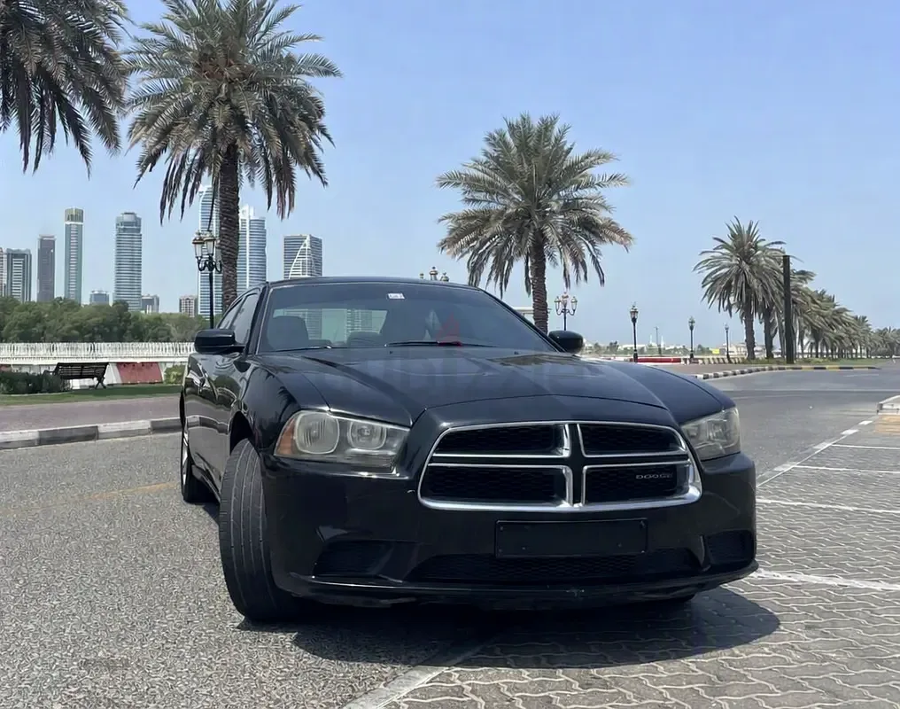 Dodge Charger 3.6 AT RWD (296 hp) - 3
