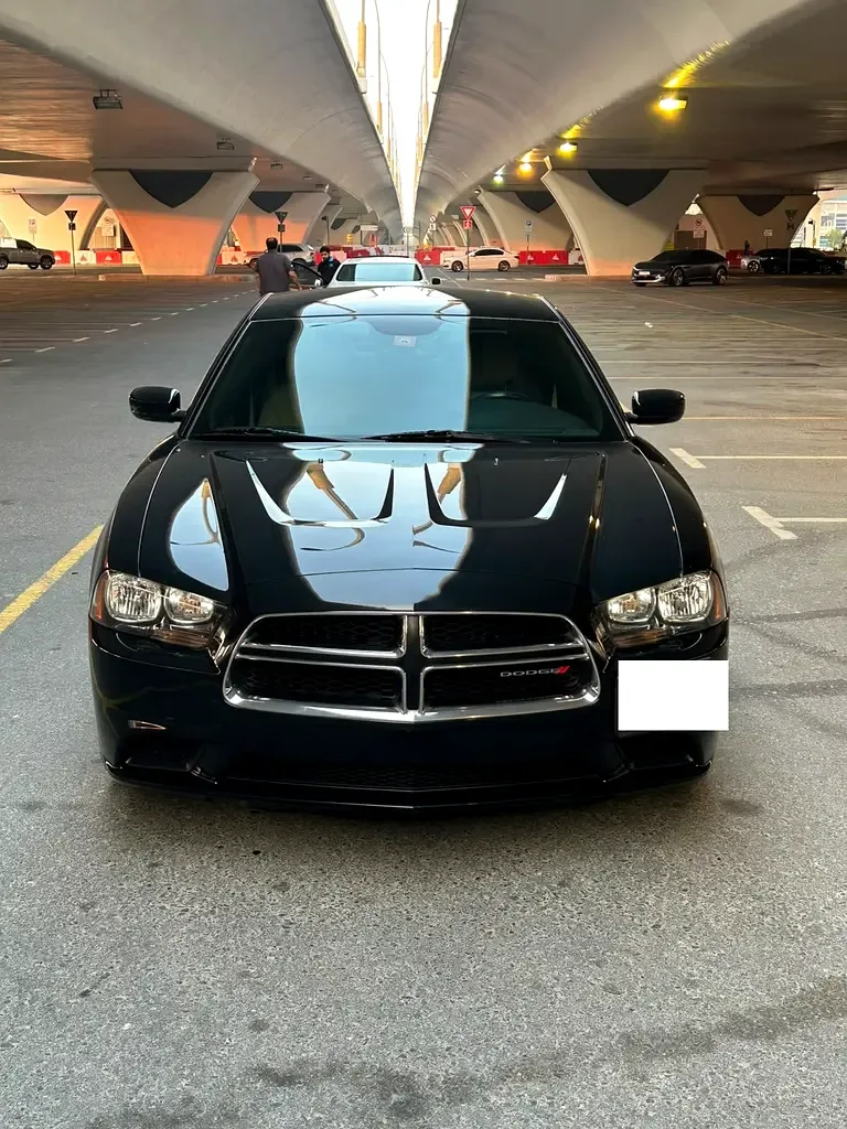 Dodge Charger 3.6 AT RWD (296 hp) - 6