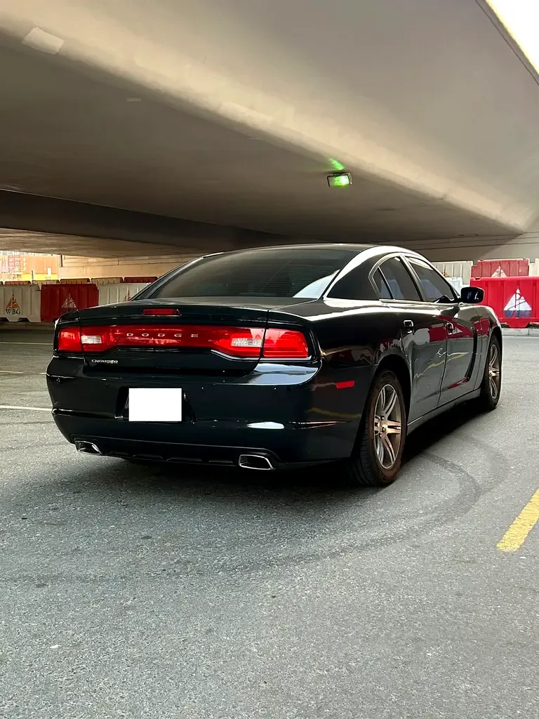 Dodge Charger 3.6 AT RWD (296 hp) - 14