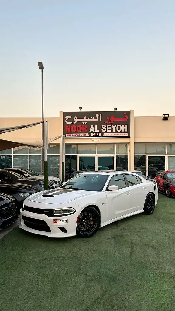Dodge Charger 6.4 AT RWD (492 حصان) - 5