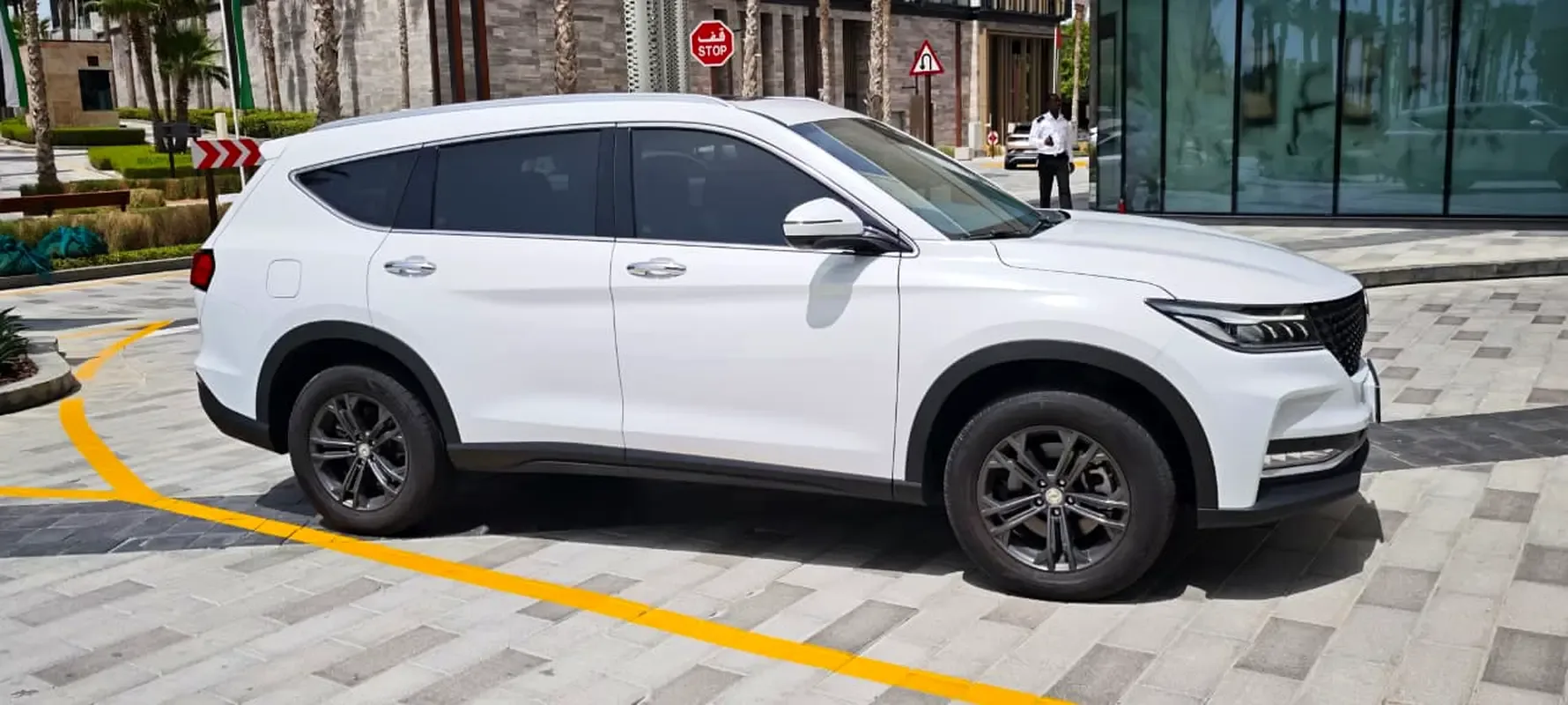 Fengon iX7 2.0 AT 4WD (220 hp) - 6