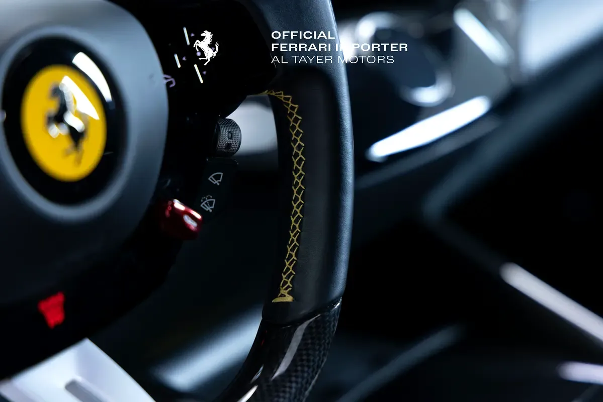 Ferrari Purosangue 6.5 AMT 4WD (725 hp) - 17