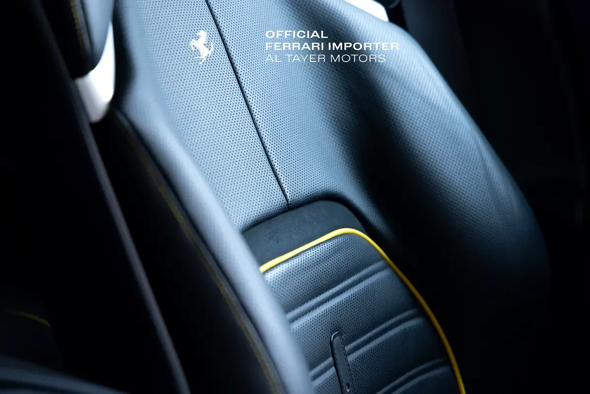 Ferrari Purosangue 6.5 AMT 4WD (725 hp) - 18