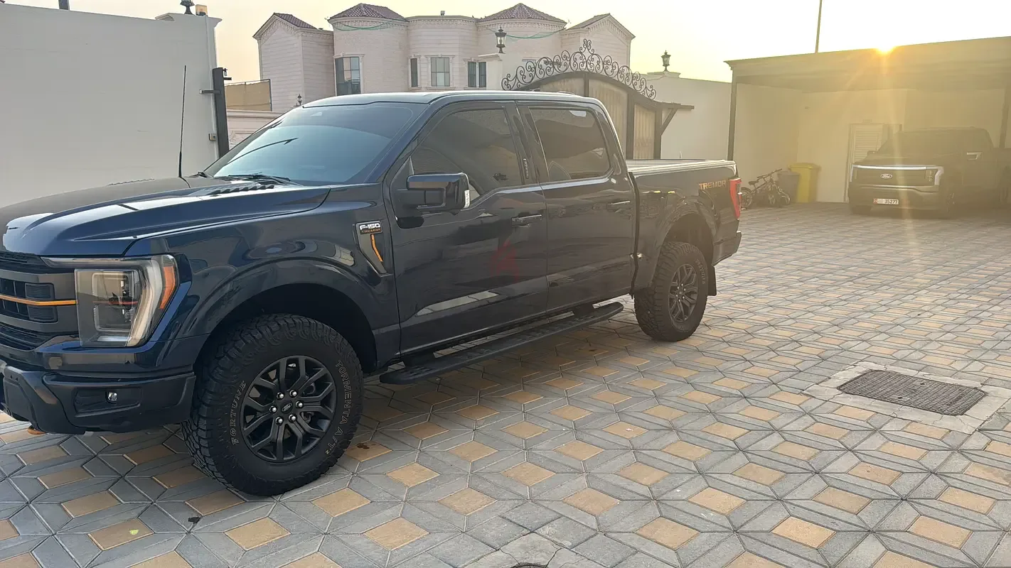 Ford F-150 3.5 AT (375 hp)