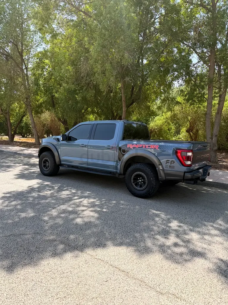 Ford F-150 3.5 AT (375 hp) - 4