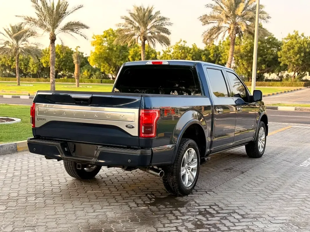 Ford F-150 3.5 AT 4WD (400 hp) - 9