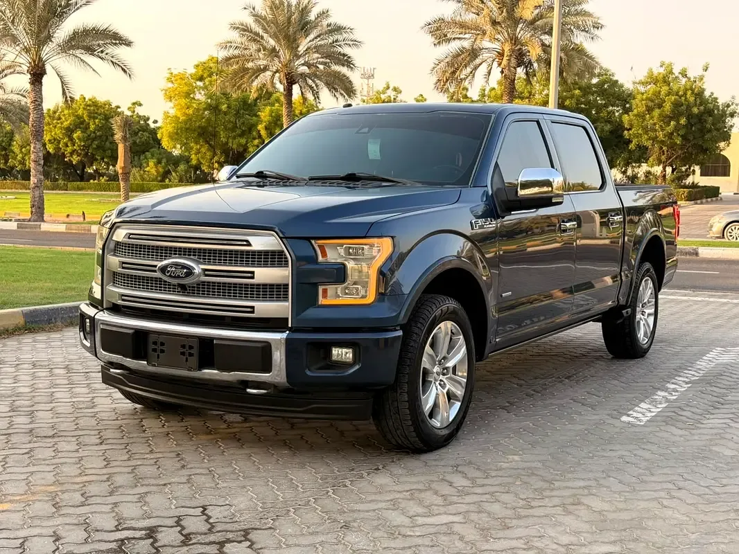 Ford F-150 3.5 AT 4WD (400 hp) - 19