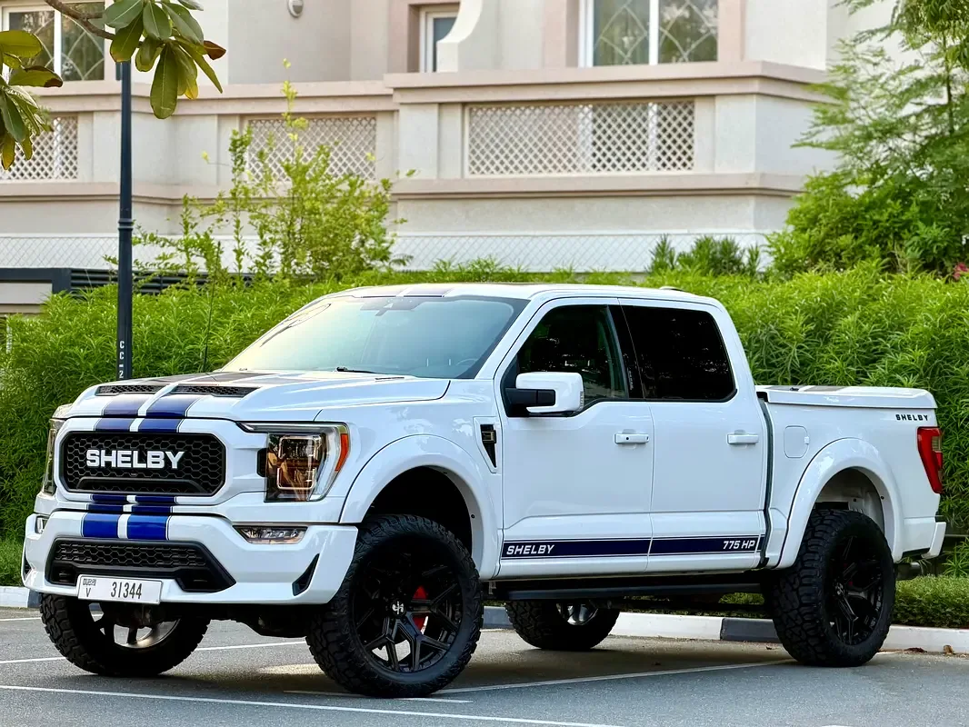 Ford F-150 5.0 AT 4WD (775 hp)