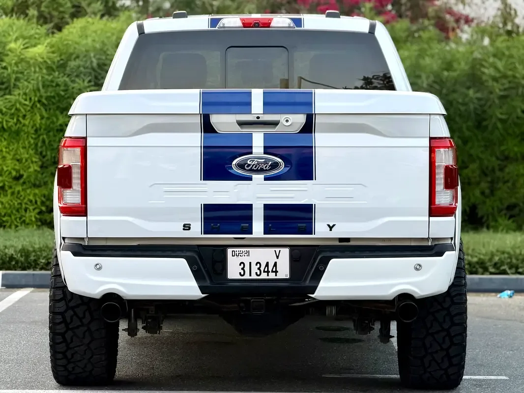 Ford F-150 5.0 AT 4WD (775 حصان) - 7