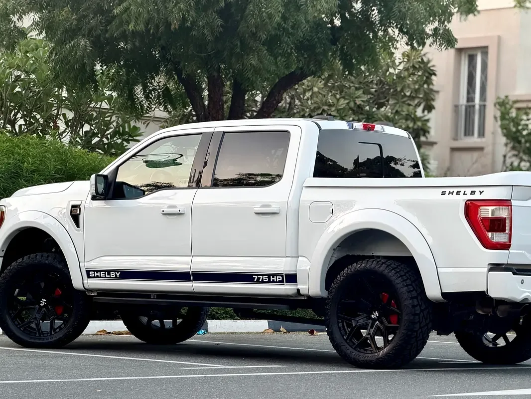 Ford F-150 5.0 AT 4WD (775 حصان) - 9