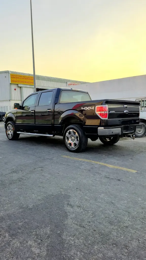 Ford F-150 5.4 AT RWD (320 حصان) - 6
