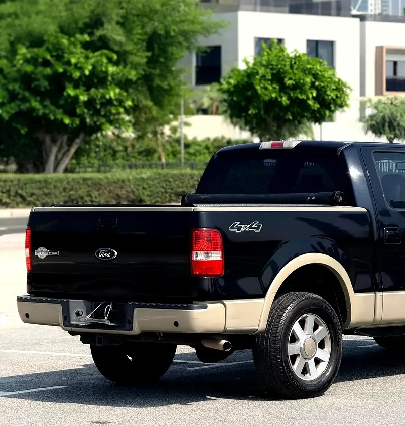 Ford F-150 5.4 AT RWD (320 hp) - 10