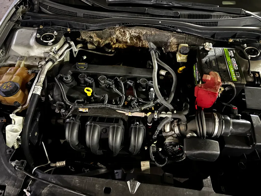 Ford Fusion 1.6 AT (101 حصان) - 6