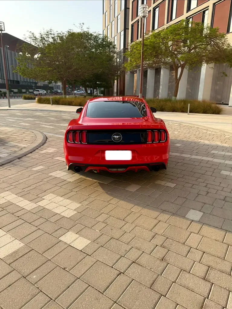 Ford Mustang 2.3 AT (317 حصان) - 5