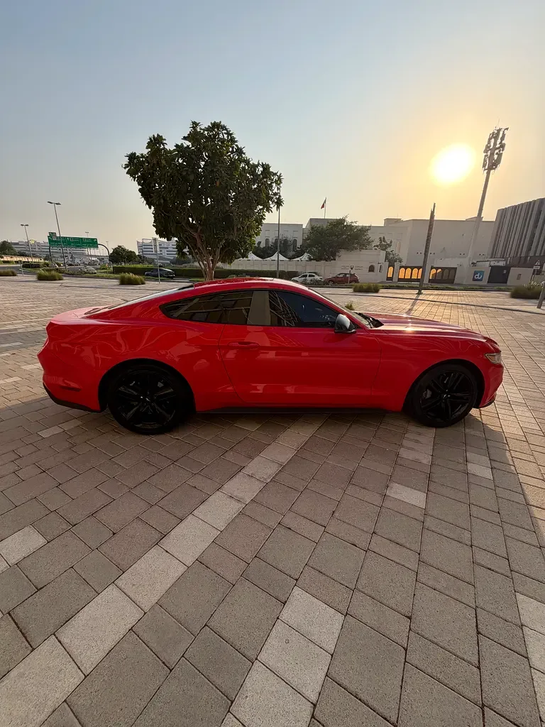 Ford Mustang 2.3 AT (317 حصان) - 8