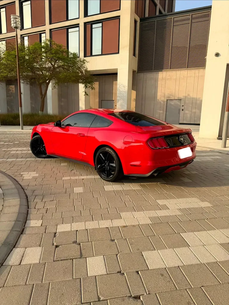 Ford Mustang 2.3 AT (317 حصان) - 6