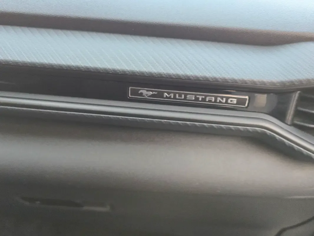 Ford Mustang 2.3 AT (319 حصان) - 14