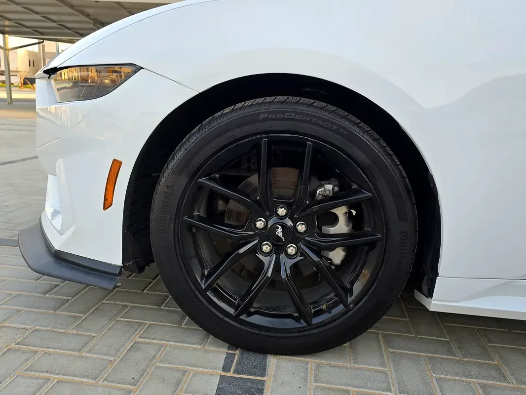 Ford Mustang 2.3 AT (319 حصان) - 17