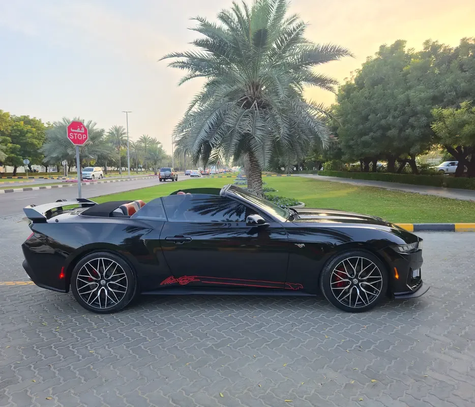 Ford Mustang 2.3 AT (319 حصان) - 15